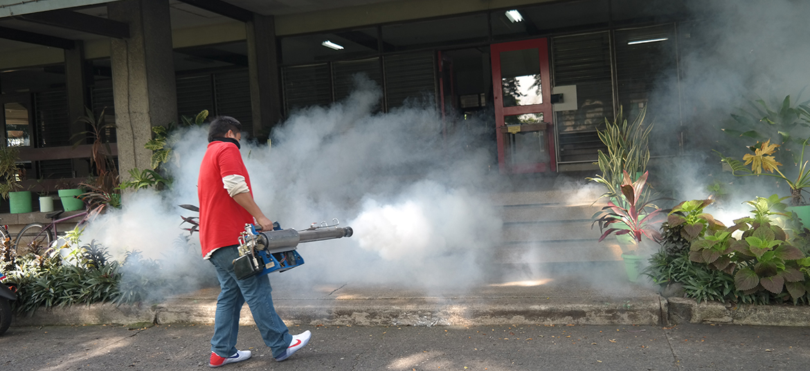 Anti-Dengue / Fumigation